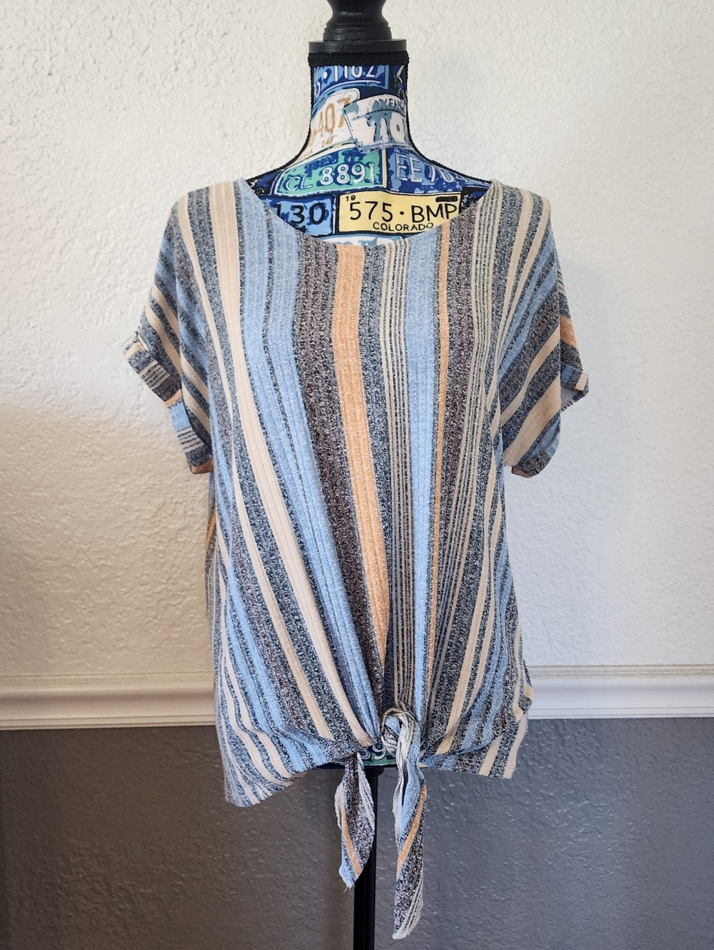 W5 Blue and Orange Striped Tie-Front Short Sleeve Top